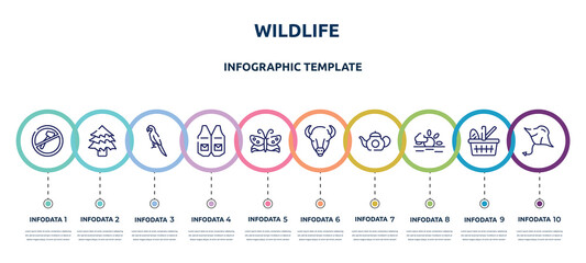 Fototapeta na wymiar wildlife concept infographic design template. included no cut, spruce, parrot, waistcoat, butterflies, bison, teapot, sun, manta ray icons and 10 option or steps.