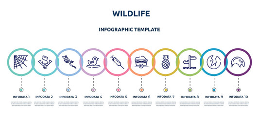 wildlife concept infographic design template. included cobweb, trap, lizard, duck, syringe, wagon, pine, direction, tapir icons and 10 option or steps.