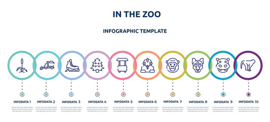 in the zoo concept infographic design template. included cattail, snowplow, ice skate, pine tree, food cart, sphinx, gorilla, siberian husky, monkeys icons and 10 option or steps.