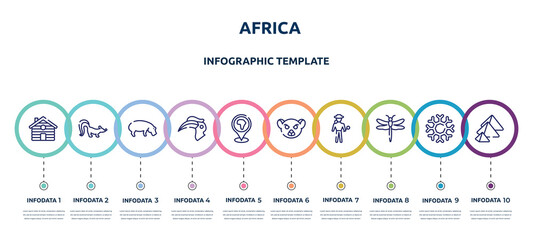 africa concept infographic design template. included cabin, skunk, hippo, hornbill, location pin, lemur, explorer, dragonfly, pyramid icons and 10 option or steps. © VectorStockDesign