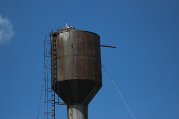 Manor of Count Rumyantsev-Zadunaisky in the village of Vyshenki. Chernihiv region, Ukraine