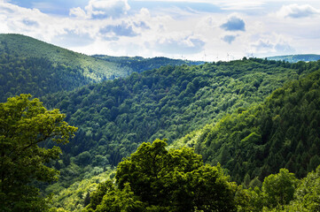 Fototapeta na wymiar sunny day above green forest and hills of Moravia