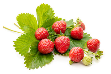 Strawberries with stems and leaves on a white background. Isolate