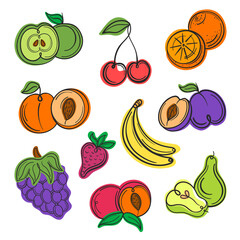 Vector illustration summer fruit set line, outline and abstract white background
