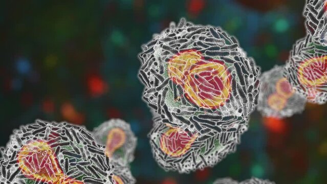 Monkeypox virus, 3D animation. A zoonotic virus from Poxviridae family, causes monkeypox, a pox-like disease