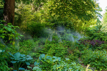 Fototapeta na wymiar F, Loire, Orléans, Park und Garten, Parc Floral de la Source, Beregnung mit Wasserdunst im Funkienbeet
