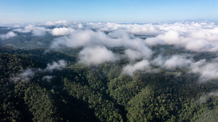 Aerial view tropical rainforest green tree forest and mountain hill forest with misty mountain clouds, Misty landscape with moutain green forest, Ecosystem and healthy environment.