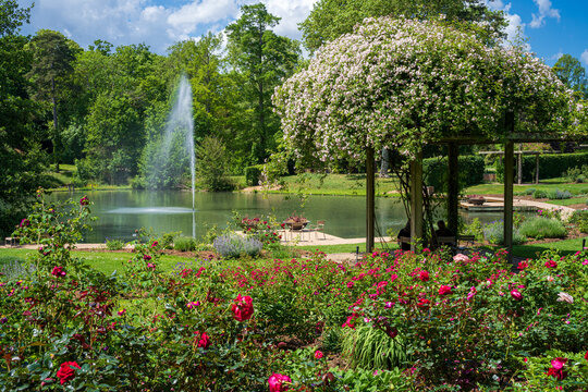F, Loire, Orl&eacute;ans, Park und Garten, Parc Floral de la Source, Blick auf aus dem Rosarium auf den See