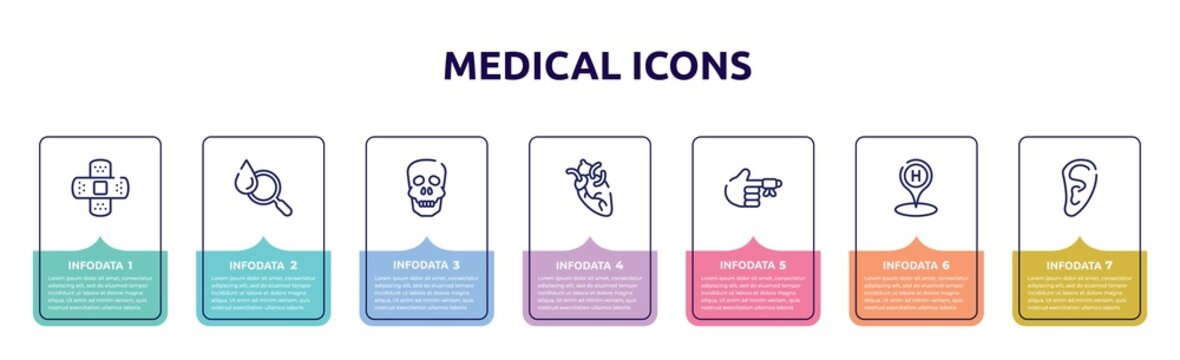 medical icons concept infographic design template. included bandage cross, blood analysis, human skull, heart organ, hurted finger with bandage, hospital placeholder, human ear shape icons and 7