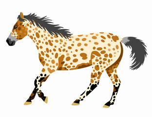 Naklejka premium Appaloosa horse vector illustration