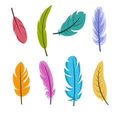Set of Flat Feather Illustration