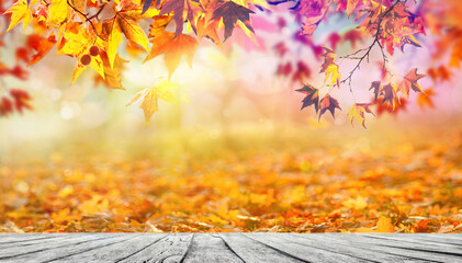 Naklejka na ściany i meble Wooden table with orange fall leaves, autumn natural background