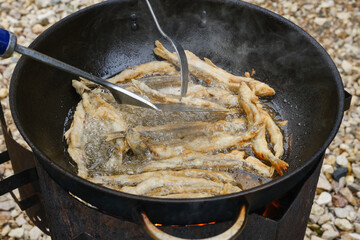 Roasting capelin in a pan on fire. Small crispy fish are fried in oil. Shallow depth of field