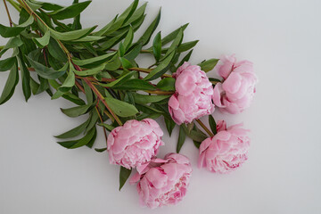 Beautiful wedding fresh pink peony bouquet in natural light