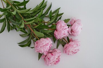 Beautiful wedding fresh pink peony bouquet in natural light