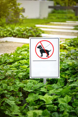  Dog walking is prohibited, garden sign