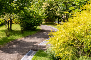 Fototapeta na wymiar 花と緑が美しい　滋賀県大津市　鶴の里公園