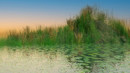 landscape background for hunting fishing. dawn on the lake close-up grass reeds