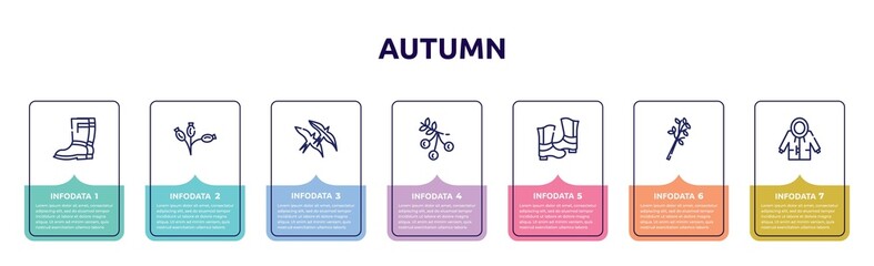 autumn concept infographic design template. included rain boots, rosa canina, bird migration, rowan, rubber roots, tree branch, raincoat icons and 7 option or steps.