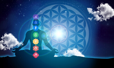 Meditation in the space