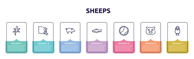 sheeps concept infographic design template. included gecko, hog head, pig with round tail, big salmon, tennis ball, farm pig, sheep front view icons and 7 option or steps.
