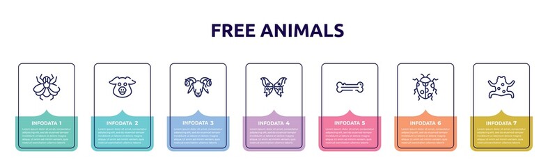 free animals concept infographic design template. included big fly, pig head, ram, butterfly wings, dog bone, spots ladybug, tropical frop icons and 7 option or steps.