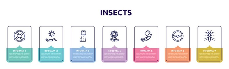 Fototapeta na wymiar insects concept infographic design template. included lifebuoy, sunbathing, lighthouse, sunflowers, shrimp, steering wheel, tree lobster icons and 7 option or steps.
