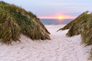 Dunes on the beach during sunset in Denmark - obrazy, fototapety, plakaty