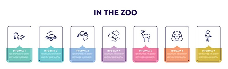 in the zoo concept infographic design template. included skunk, hibernation, hornbill, windy, reindeer, beaver, explorer icons and 7 option or steps.