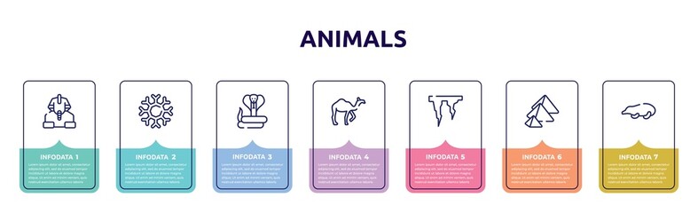 animals concept infographic design template. included sphinx, snowflakes, cobra, camel, icicle, pyramid, mole icons and 7 option or steps.