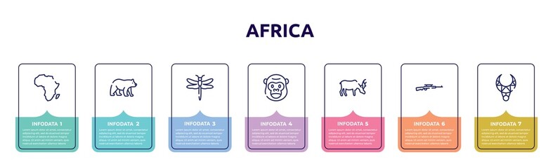 africa concept infographic design template. included africa, carnivore, dragonfly, gorilla, moose, rifle, necklace icons and 7 option or steps.
