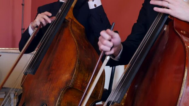 Two musicians play double basses in symphony orchestra, Close-up view