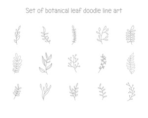 doodle art line botanical leaf element for decoration or printing