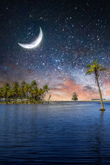 tropical island with trees in the night with the stars and moon