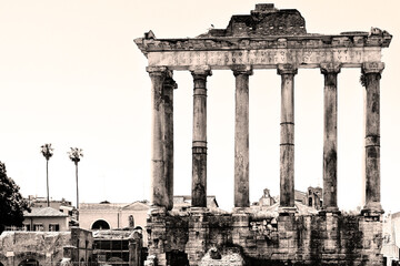 Roman Columns, the Roman Forum, Italy