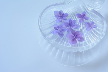 ガラスの器に浮かべた紫陽花の花