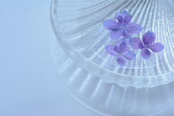 Naklejka na ściany i meble ガラスの器に浮かべた紫陽花の花