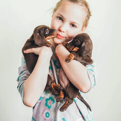Two adorable puppies in the hands of a little girl. Dachshund puppies.