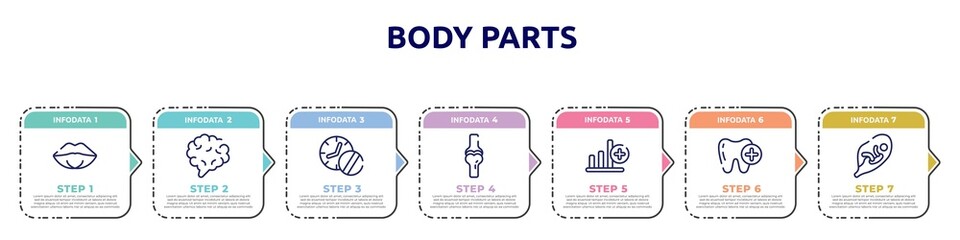 body parts concept infographic design template. included female mouth lips, brain body organ, medicines time, ball of the knee, bar graph with a cross, tooth with a plus, fetus in an uterus icons
