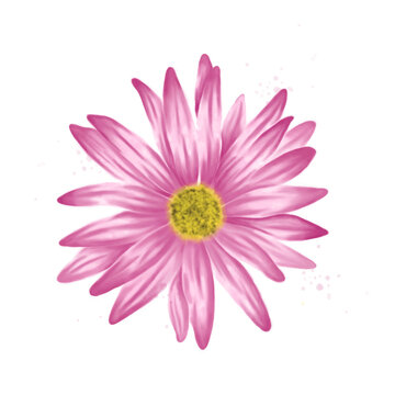 recommend clip art: Pink blossom, spring flowers watercolor isolated. Summer petals