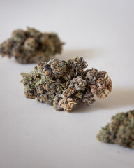 Dried and trimmed cannabis buds. Green marijuana buds with light natural background