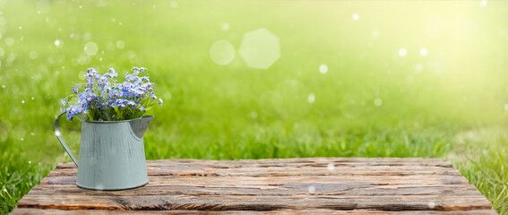 Summer beautiful flowers in a vintage pot on a wooden table, green background, blurry lights, highlights and copy space. Summer floral card with sun glare and rays.