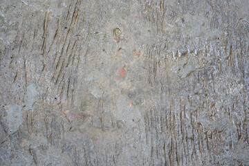 Rough concrete wall texture

