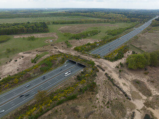 Ecoduct ecopassage or animal bridge crossing over the A12 highway in the Netherlands. Structure connecting forrest ecology landscape over the freeway