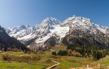 Fototapeta na wymiar Vast alpine meadow with backdrop of snow clad peak in Sonmarg, Jammu and Kashmir, India