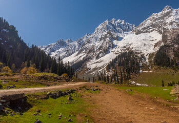 path in vast alpine meadow in the mountains in Himalayas, Kashmir, India
