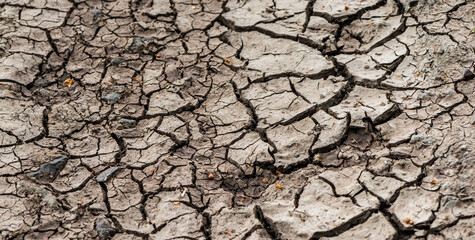 Dry cracked soil. - 510020245