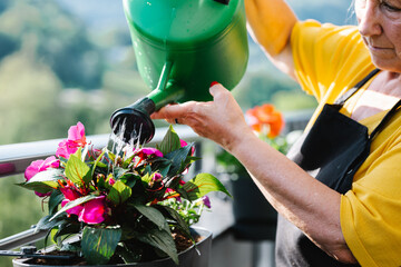 Senior woman watering potted flower