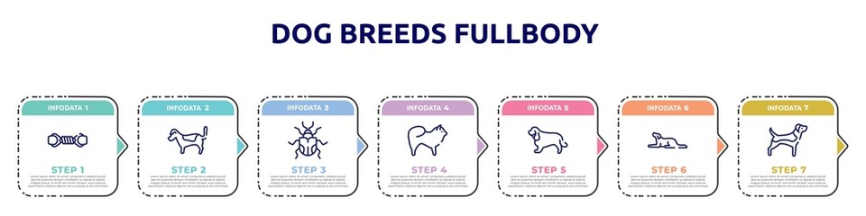 dog breeds fullbody concept infographic design template. included pet toy, jack russell terrier, null, chow chow, english cocker spaniel, border collie, beagle icons and 7 option or steps.