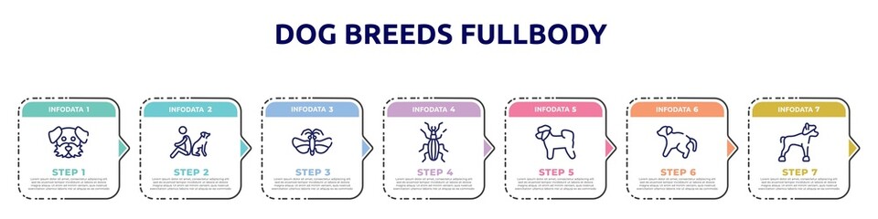 dog breeds fullbody concept infographic design template. included dog moustache, dog and man seating, null, null, bichon, scold the chinese crested icons and 7 option or steps.